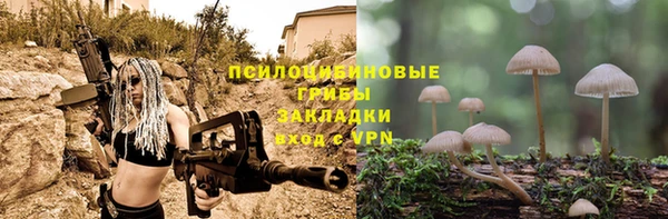 твердый Алексеевка