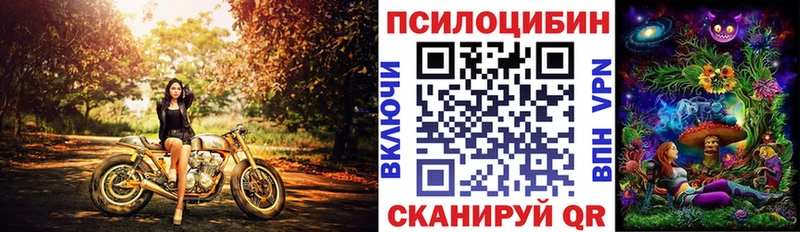 Псилоцибиновые грибы Cubensis Палласовка