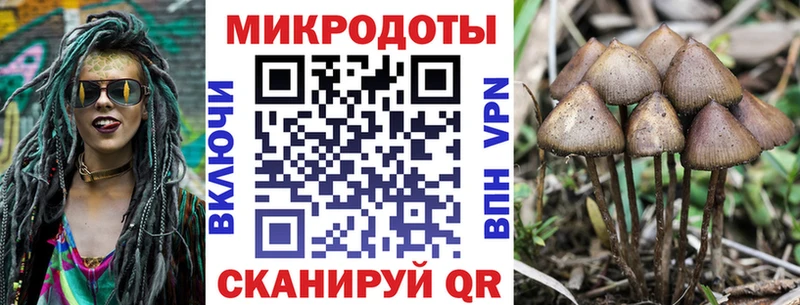 Псилоцибиновые грибы мухоморы наркотики Палласовка
